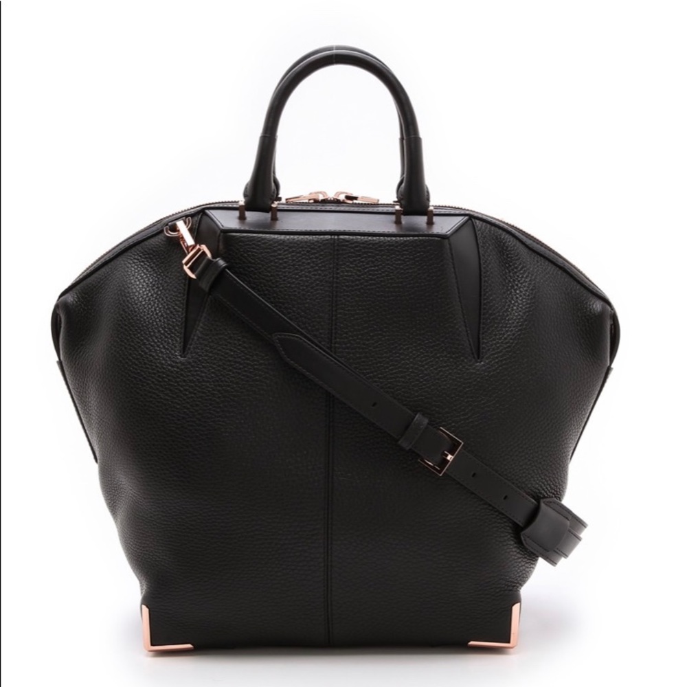 SOLD Alexander Wang Emile Satchel (SM)